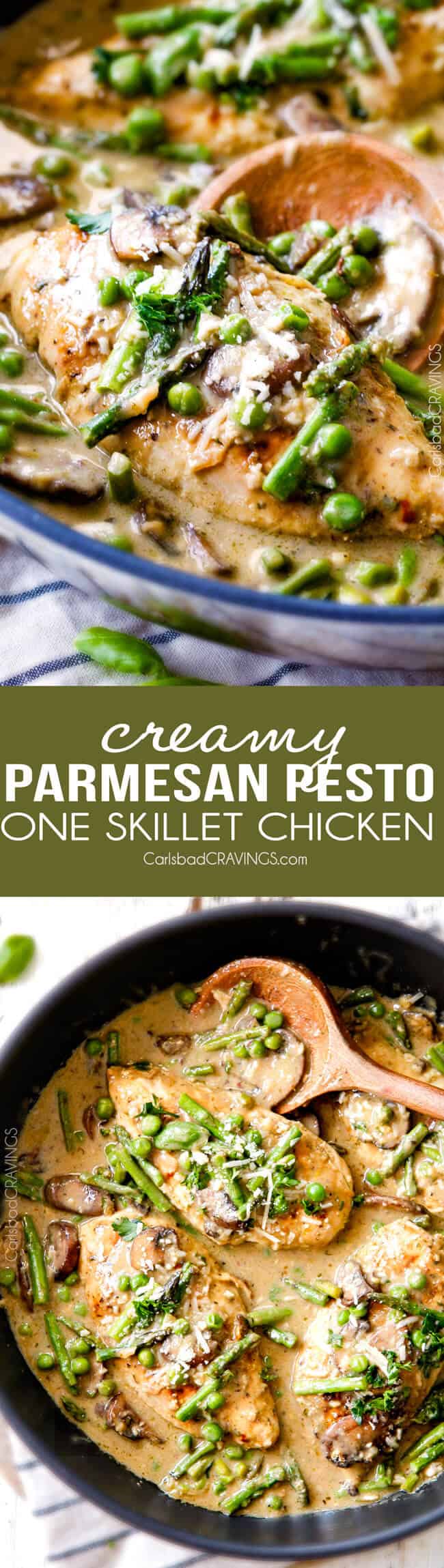 Creamy Parmesan Pesto Chicken Skillet - this is the BEST one skillet Chicken! the chicken is rubbed in pesto/Parmesan for amazing flavor and the sauce is the creamiest, most flavorful, all done in 30 minutes! I love mine with pasta, my husband loves his with potatoes!