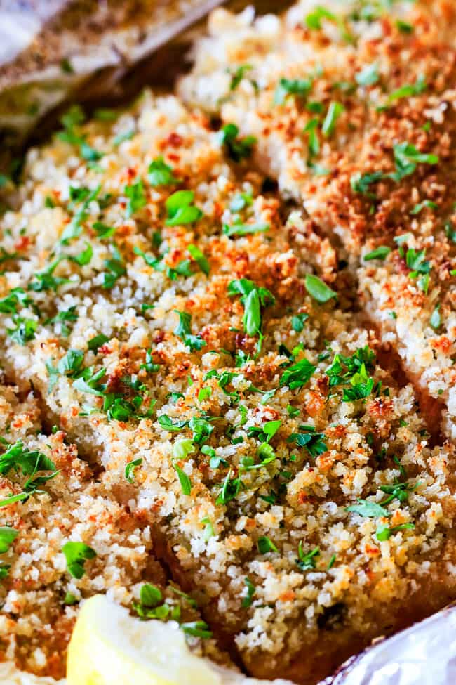 25 MINUTE Baked Lemon Garlic Butter Salmon with Crispy Parmesan Panko & Broccoli! This salmon is not only bursting with flavor and sooo juicy and tender but the easiest, most satisfying meal that tastes totally gourmet! My parents were blown away by this meal! up close of the best oven baked salmon recipe