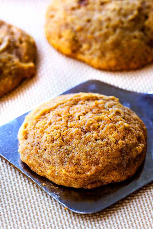 These are the BEST Pumpkin Cookies I've ever had! They are super soft, tons of flavor and the Cinnamon Cream Cheese Frosting is so addicting I was licking the bowl! I brought these to a Halloween Party and they were the first dessert gone!