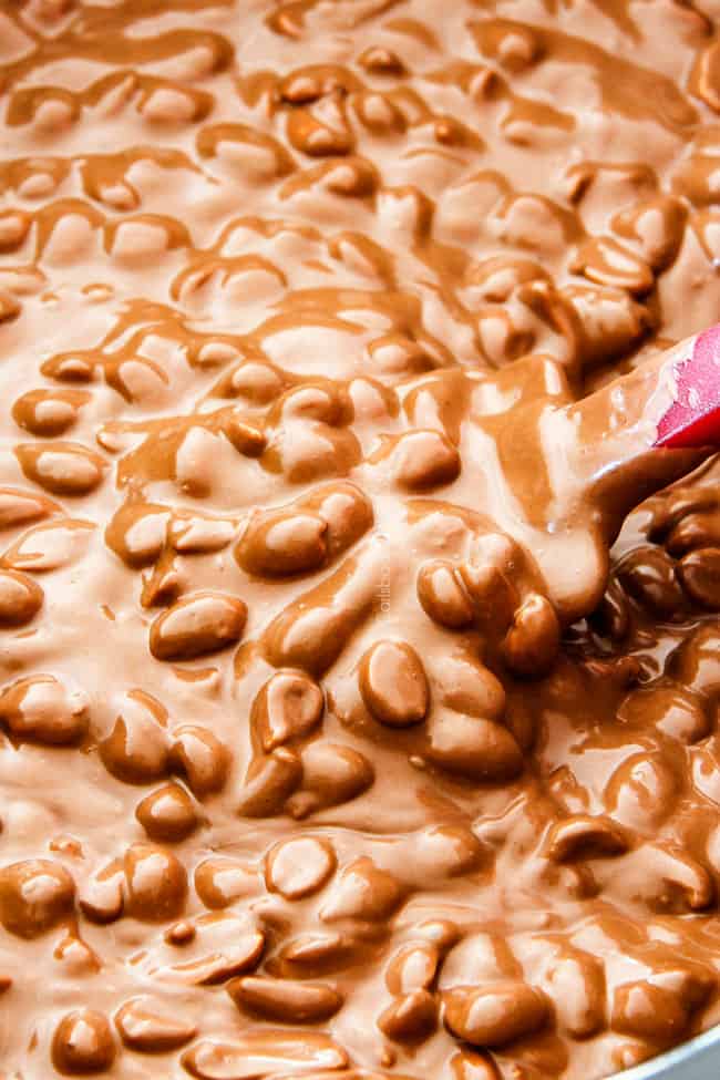 FOOL PROOF Crockpot Chocolate Peanut Clusters are not only crazy delicious but are SO easy! They make the best make ahead, stress free gifts! This post also includes tips and tricks to make them successful every time!
