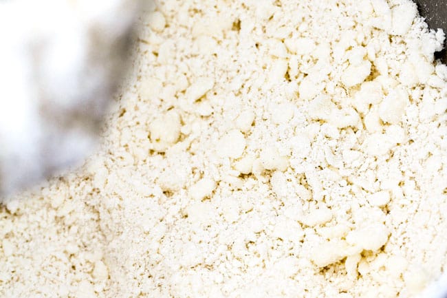 Showing how to make Lemon Blueberry Cake Recipe by mixing butter into flour until it looks like coarse pebbles