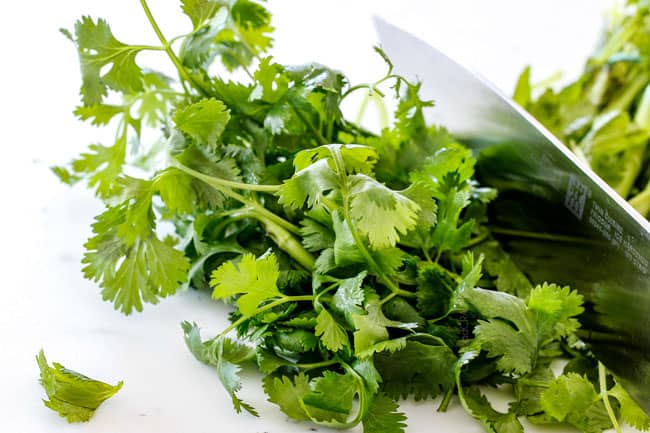 chopping cilantro showing how to make easy pico de gallo