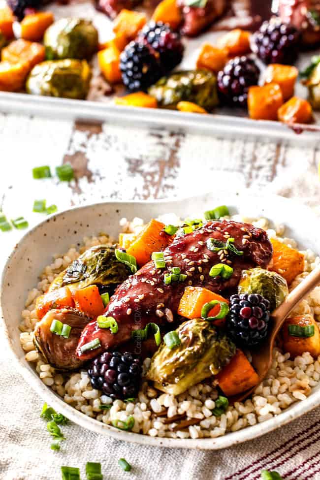 hoisin chicken with butternut squash and brussels sprouts with rice on a plate