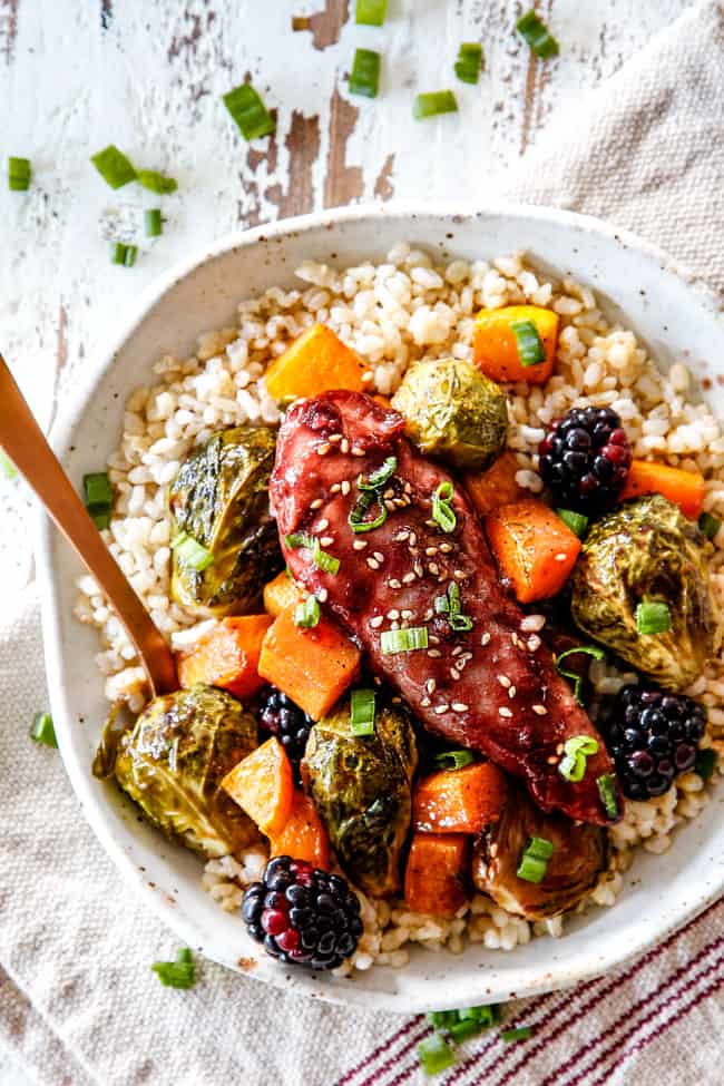 top view of hoisin chicken with rice and vegetables