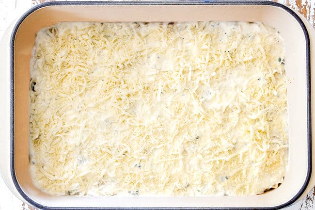 showing how to layer lasagna with a layer of mozzarella and Parmesan