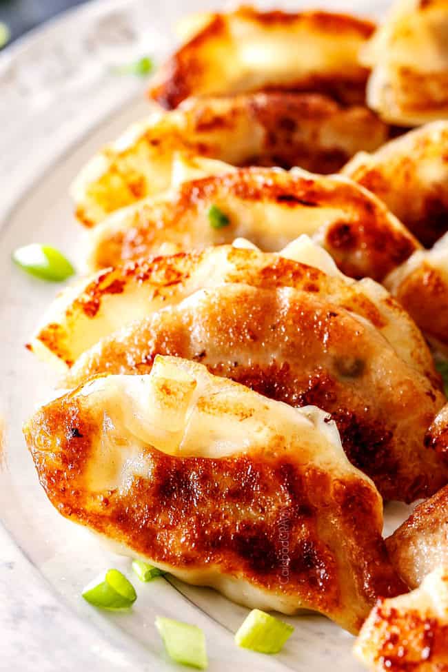 easy potsttickers lined up in a row on a white plate