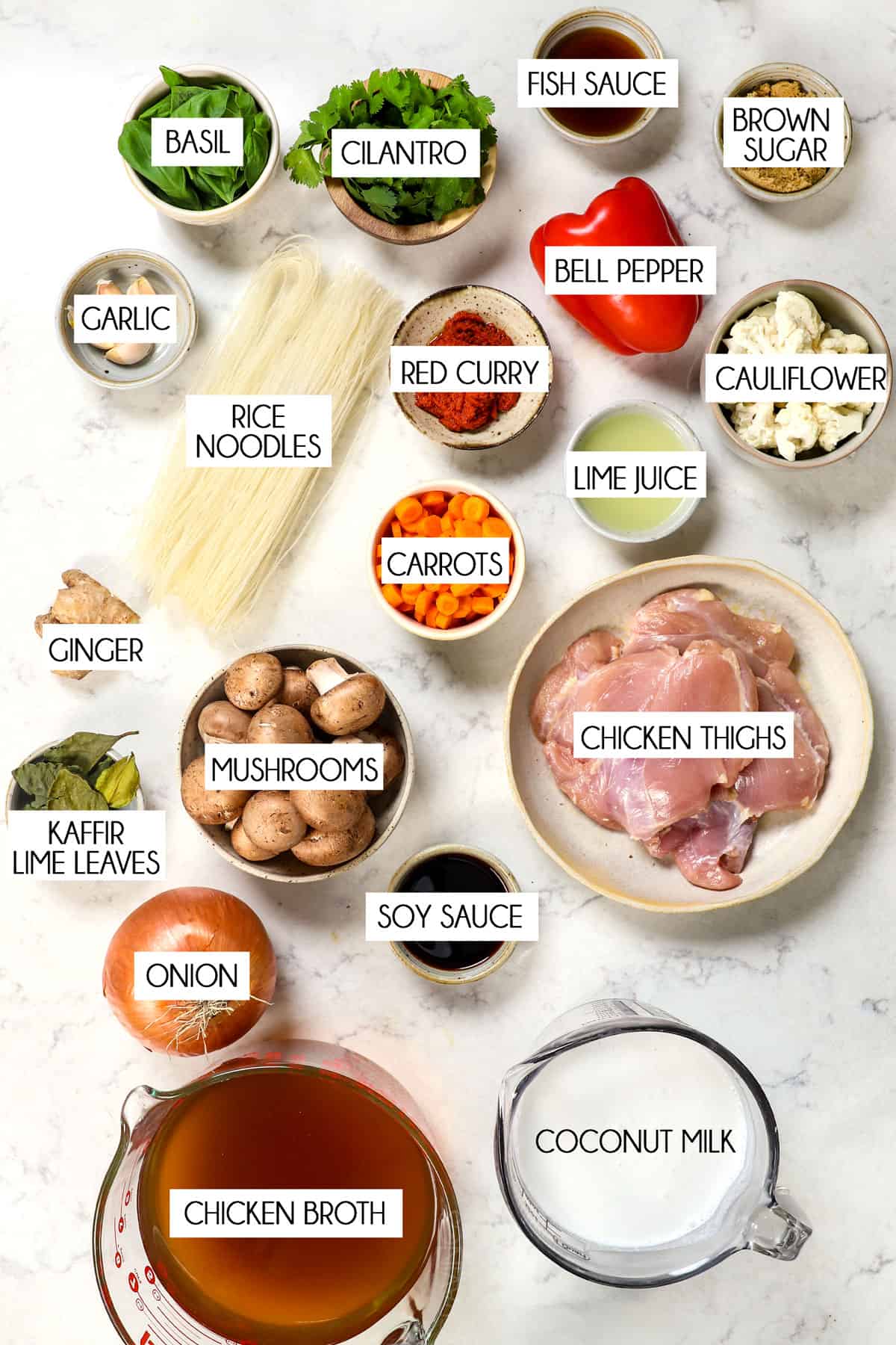 top view of Thai chicken soup ingredients: rice noodles, coconut milk, chicken, chicken broth, kaffir lime leaves, basil, red curry, onions, garlic, ginger