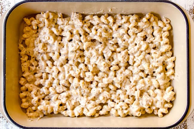 showing how to make Chicken Alfredo Bake by layering half of the pasta into a 9x13 pan