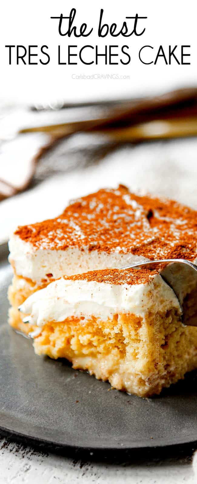 showing how to serve tres leches cake cold on a plate dusted with cinnamon
