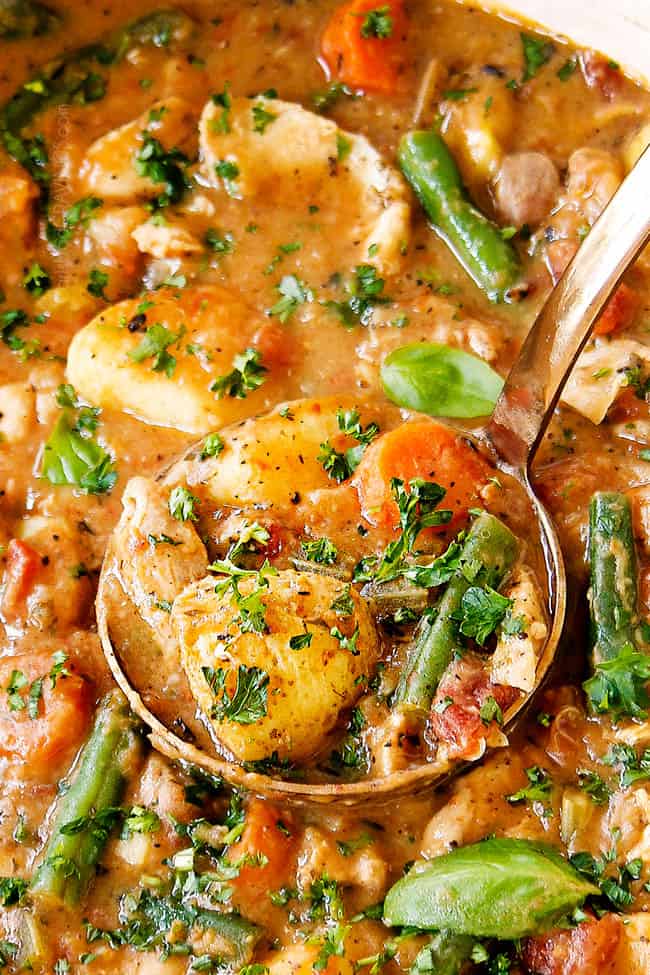 up close of a ladle of chicken stew recipe with shredded chicken, potatoes, carrots, and green beans