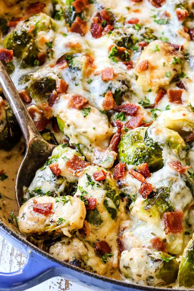 up close of a spoonful of creamy Brussels sprouts recipe
