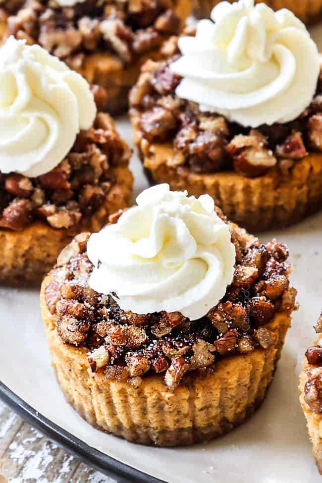 up close of mini pumpkin cheesecake topped with whipped cream