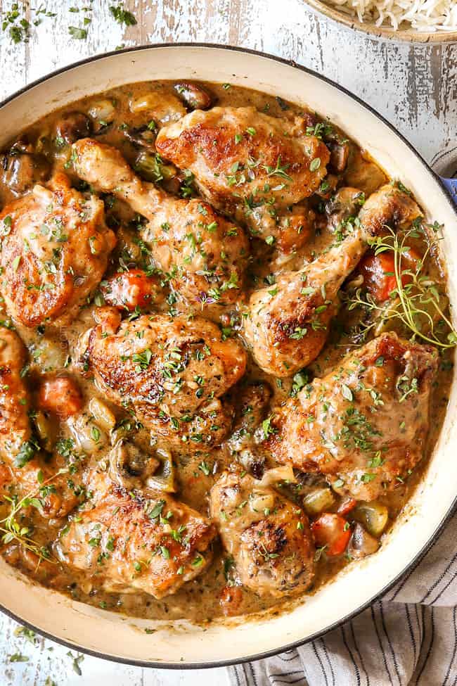 top view of chicken fricassee garnished with parsley and thyme v