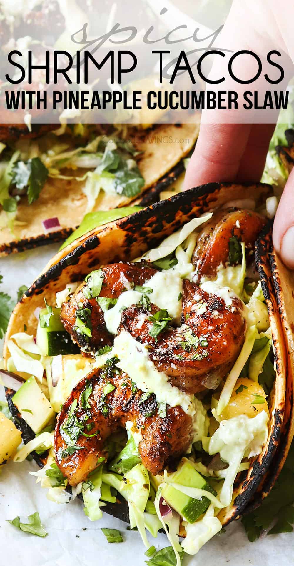 up close of spicy shrimp tacos with slaw being picked up