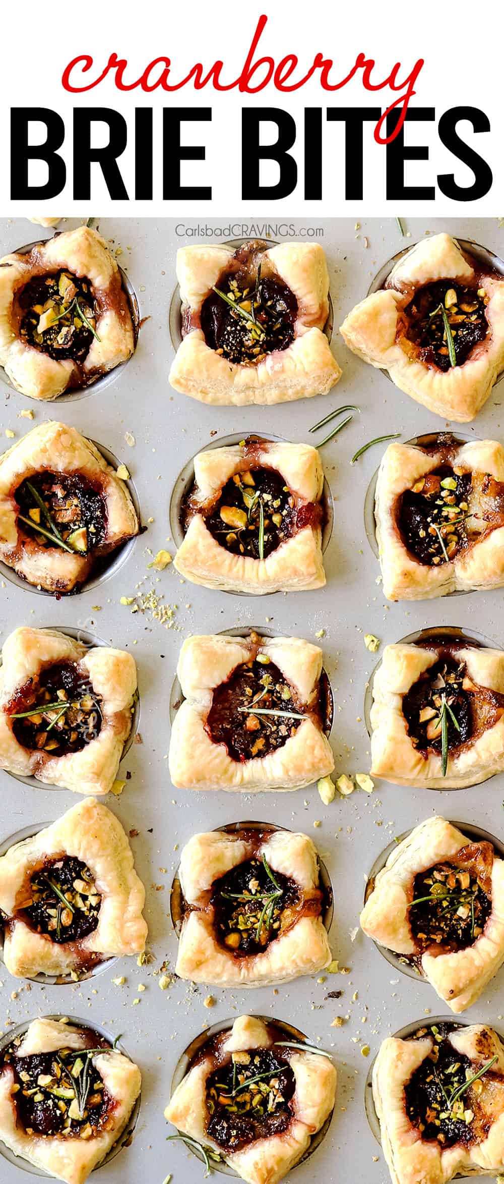 top view of cranberry brie bites