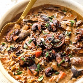 a bowl of creamy mushroom soup with wild rice and mushrooms