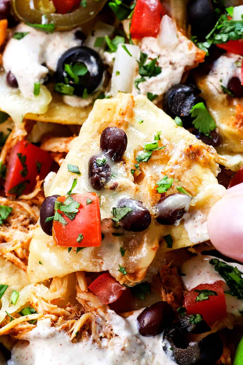 up close of shredded chicken nachos with cheese, beans pic de gallo and guacamole