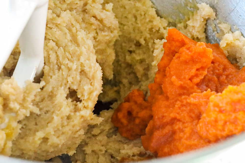 showing how to make pumpkin snickerdoodles by mixing in pumpkin puree and vanilla