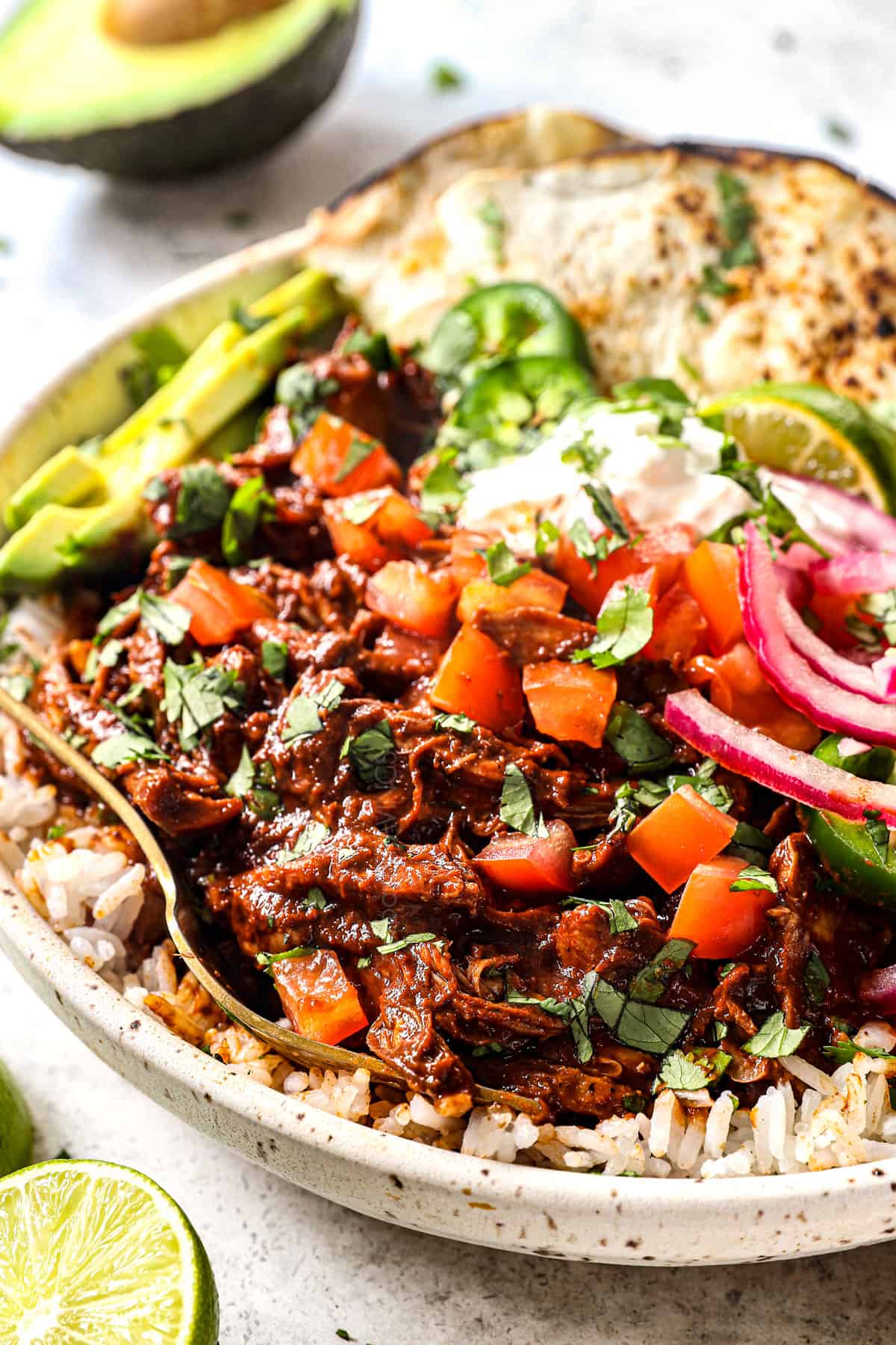 up close of mole sauce recipe with chicken showing how rich and smooth it is