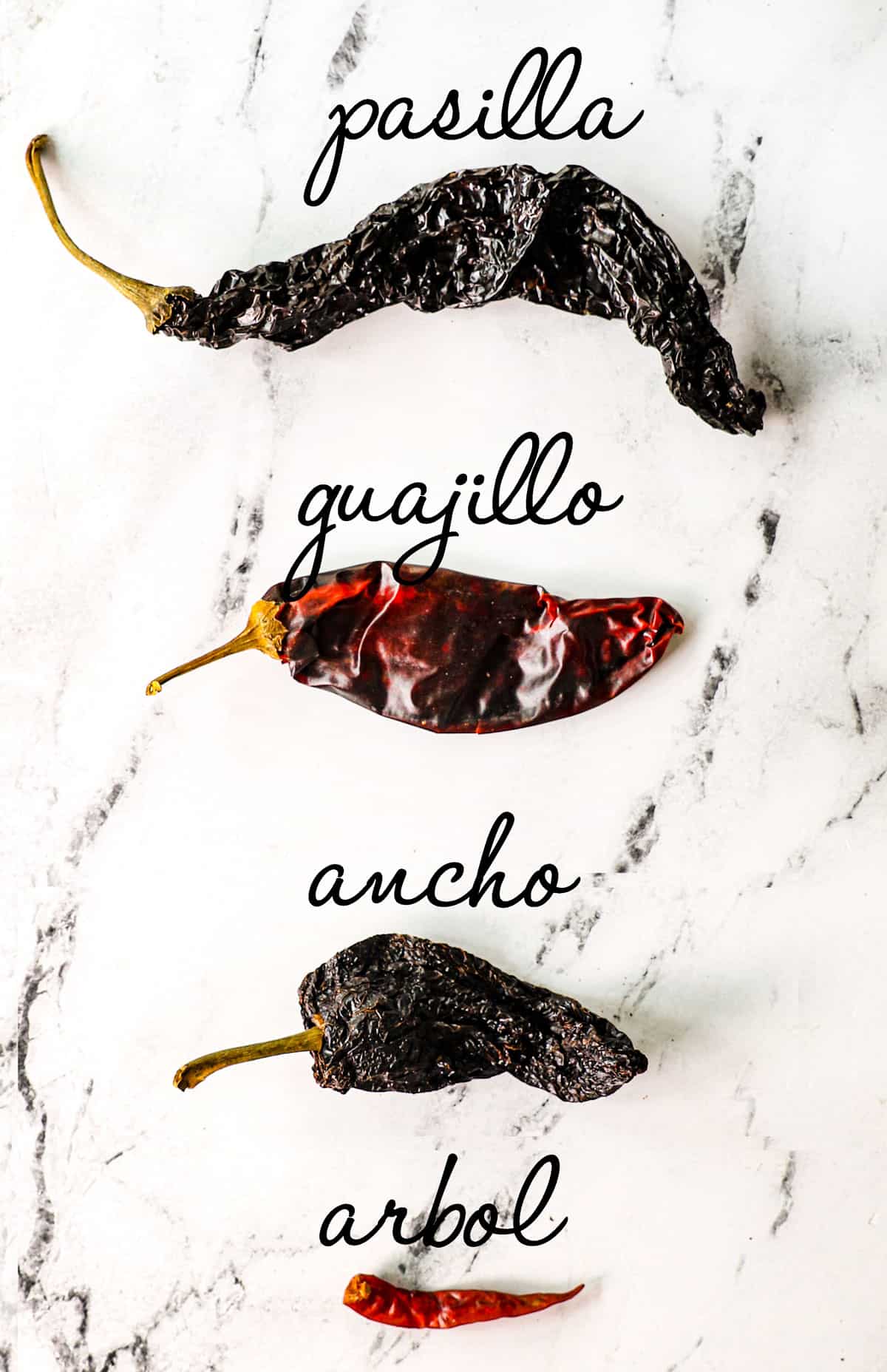 showing how to make mole sauce with a chart of the different dried chilies used in the recipe - pasilla chilies, guajillo chilies, ancho chilies and chilies de arbol