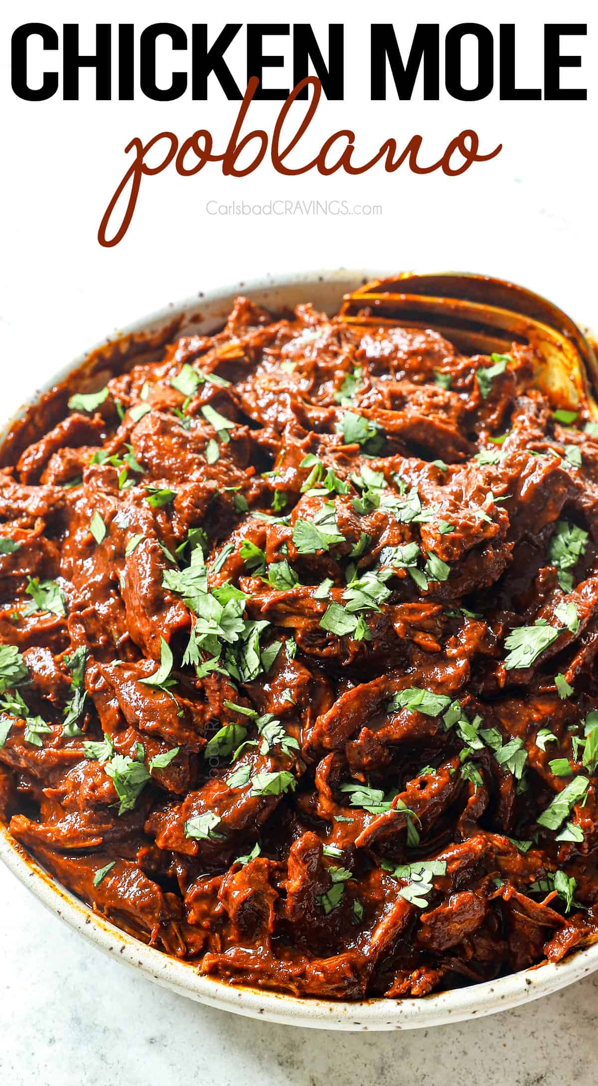 up close of chicken in mole sauce