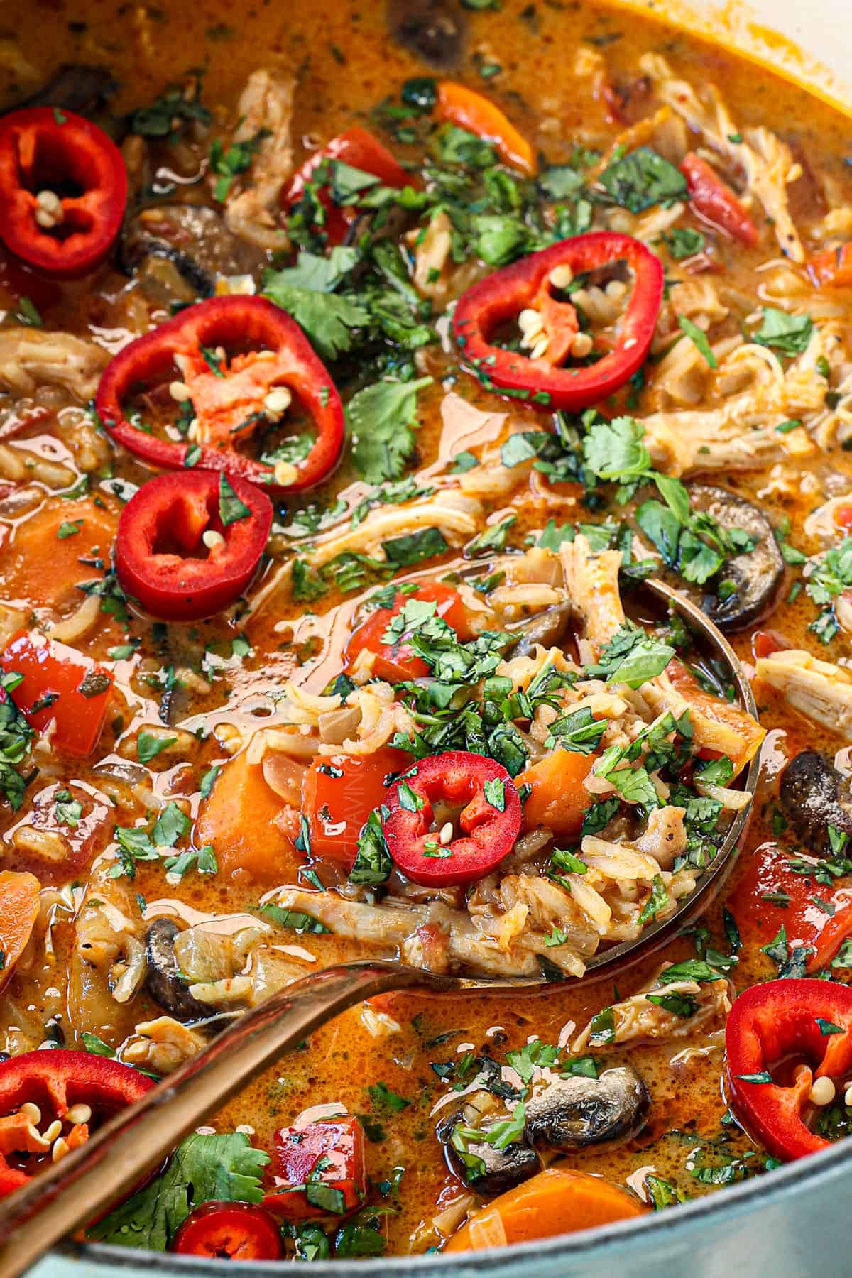 a ladle of Thai coconut curry soup with chicken