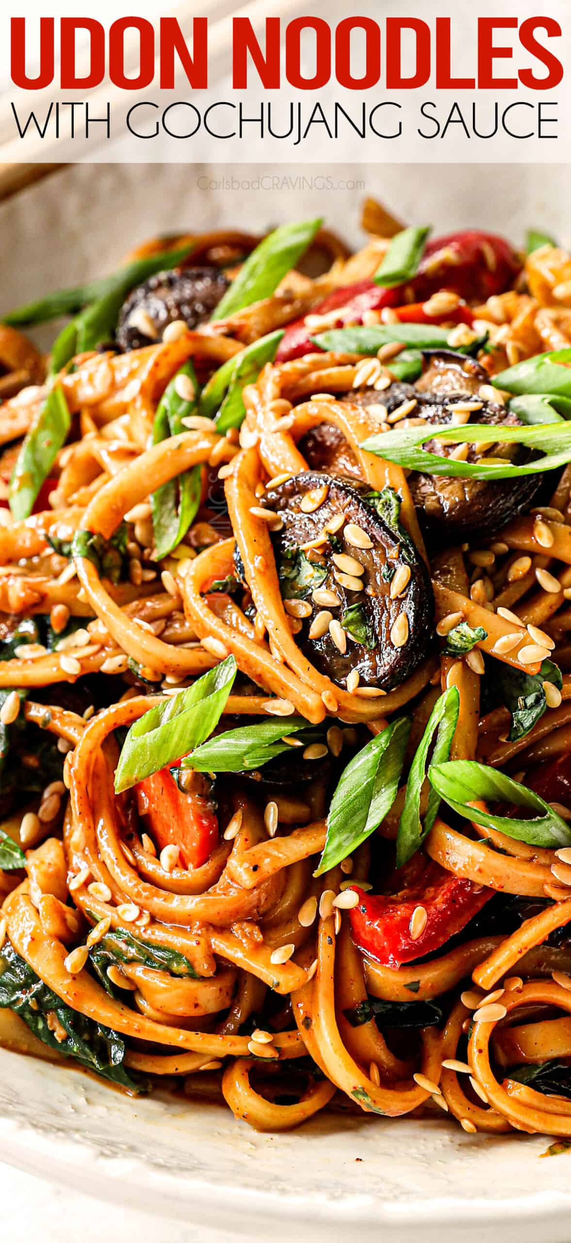up close of udon noodles stir fried with vegetables in a bowl