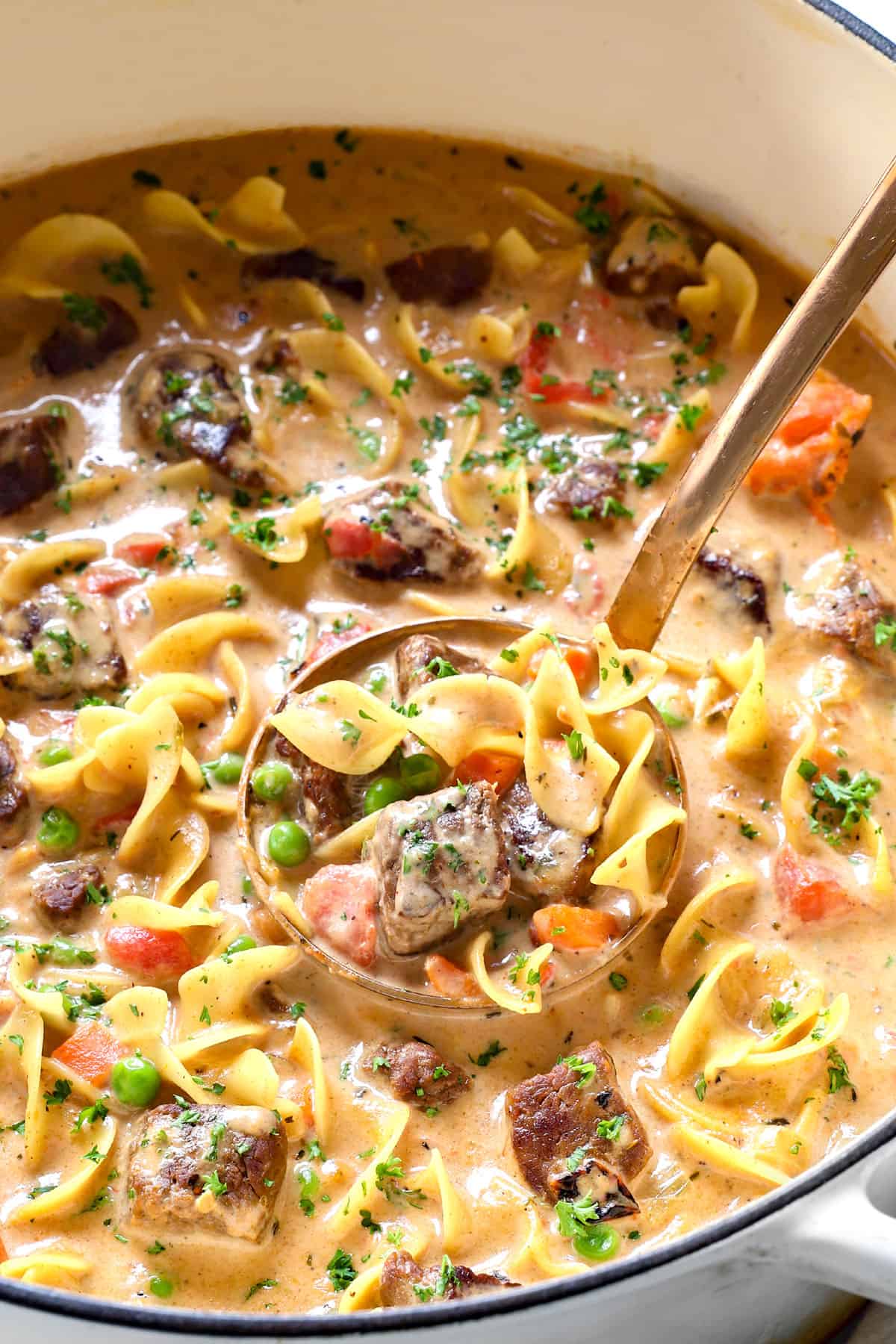 beef noodle soup recipe in a pot with egg noodles, carrots, celery