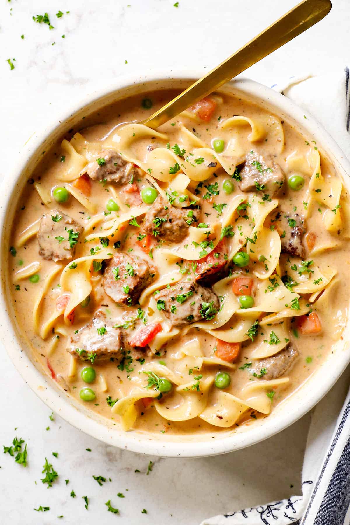 showing ingredients in beef noodle soup: beef sirloin, onions, garlic, celery, carrots, and egg noodles