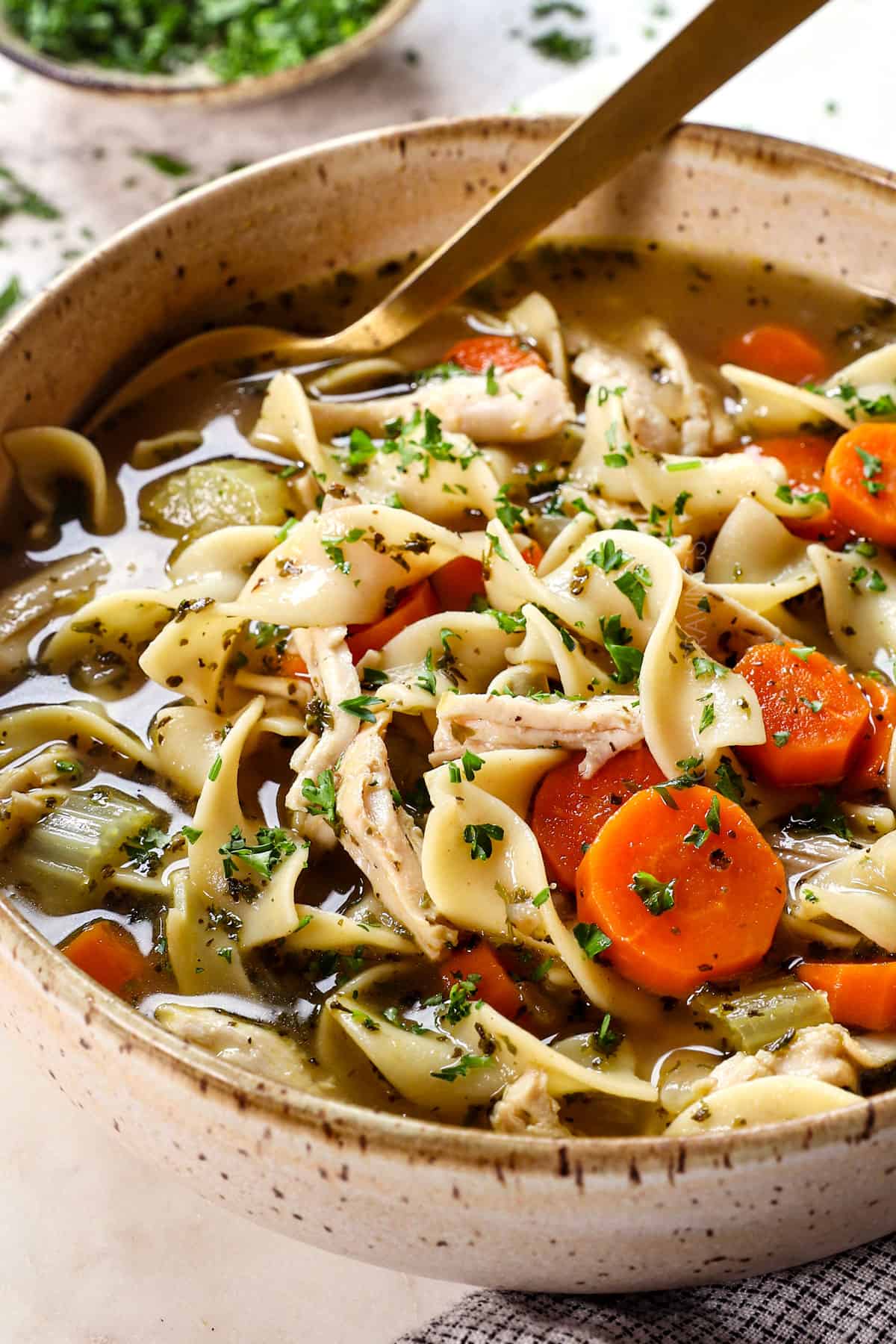 showing how to serve turkey noodle soup recipe in a bowl garnished with parsley