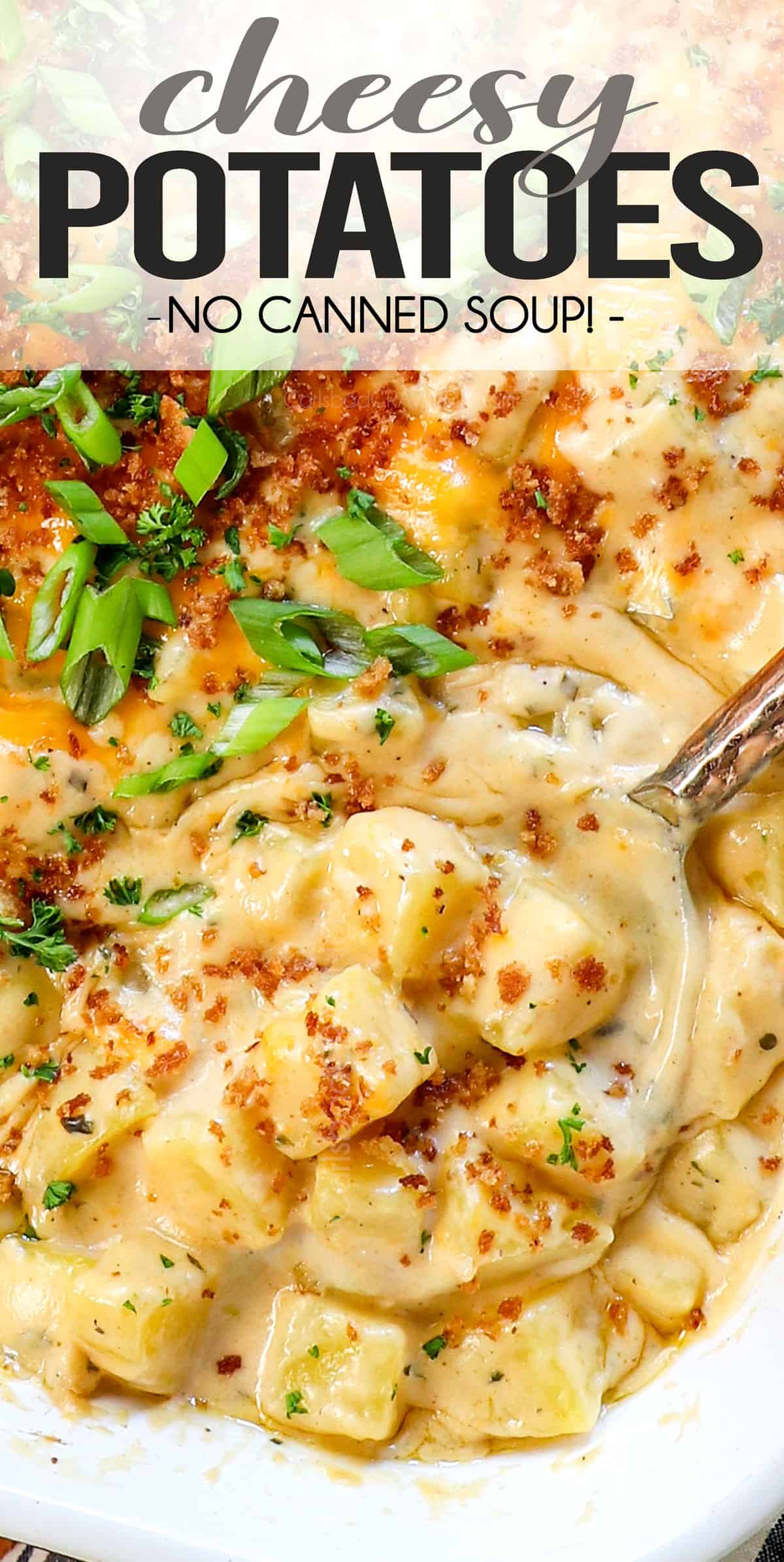 top view of cheesy potatoes showing how cheesy and creamy they are