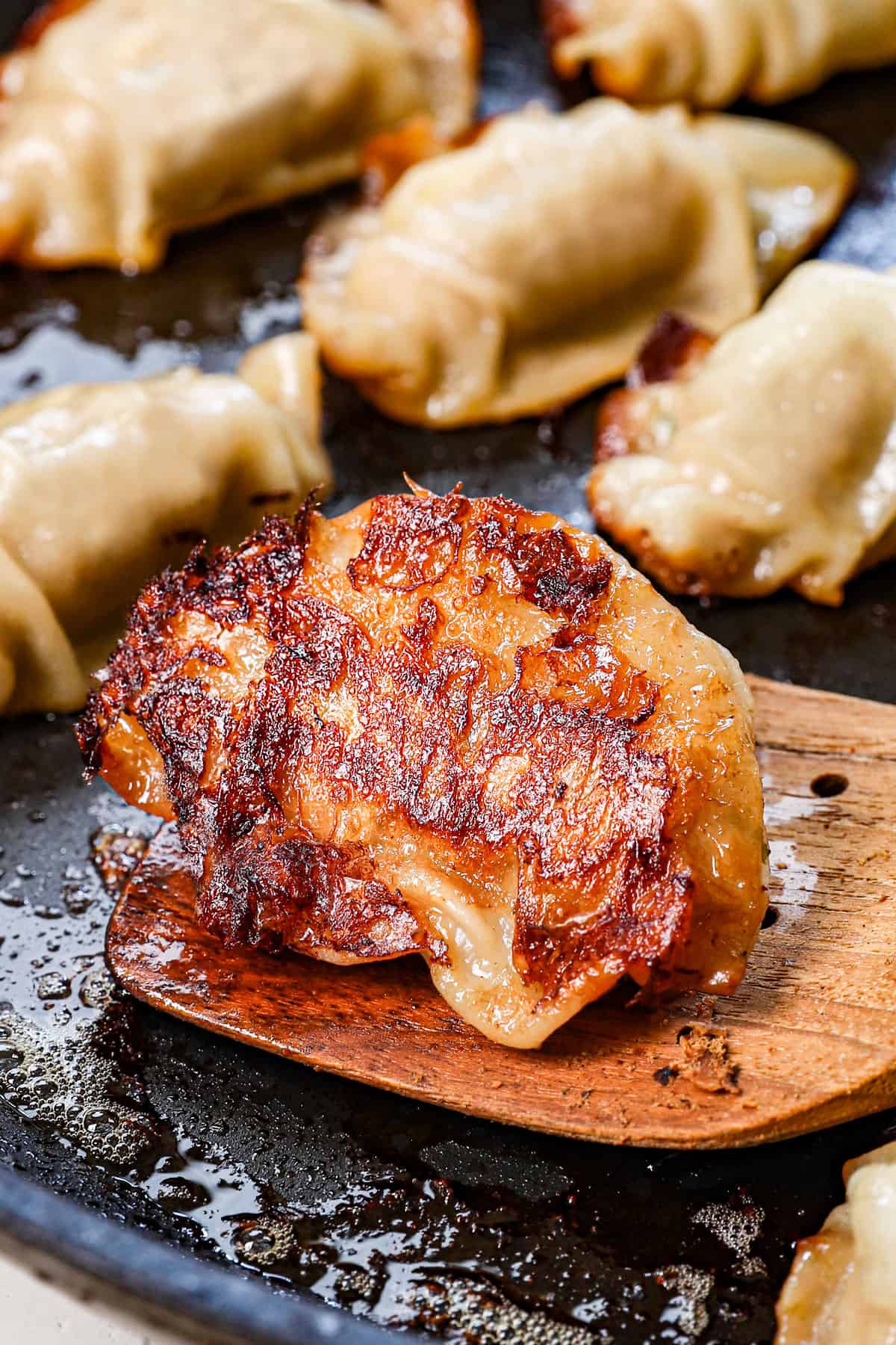 showing how to make gyoza by cooking the bottoms until crispy