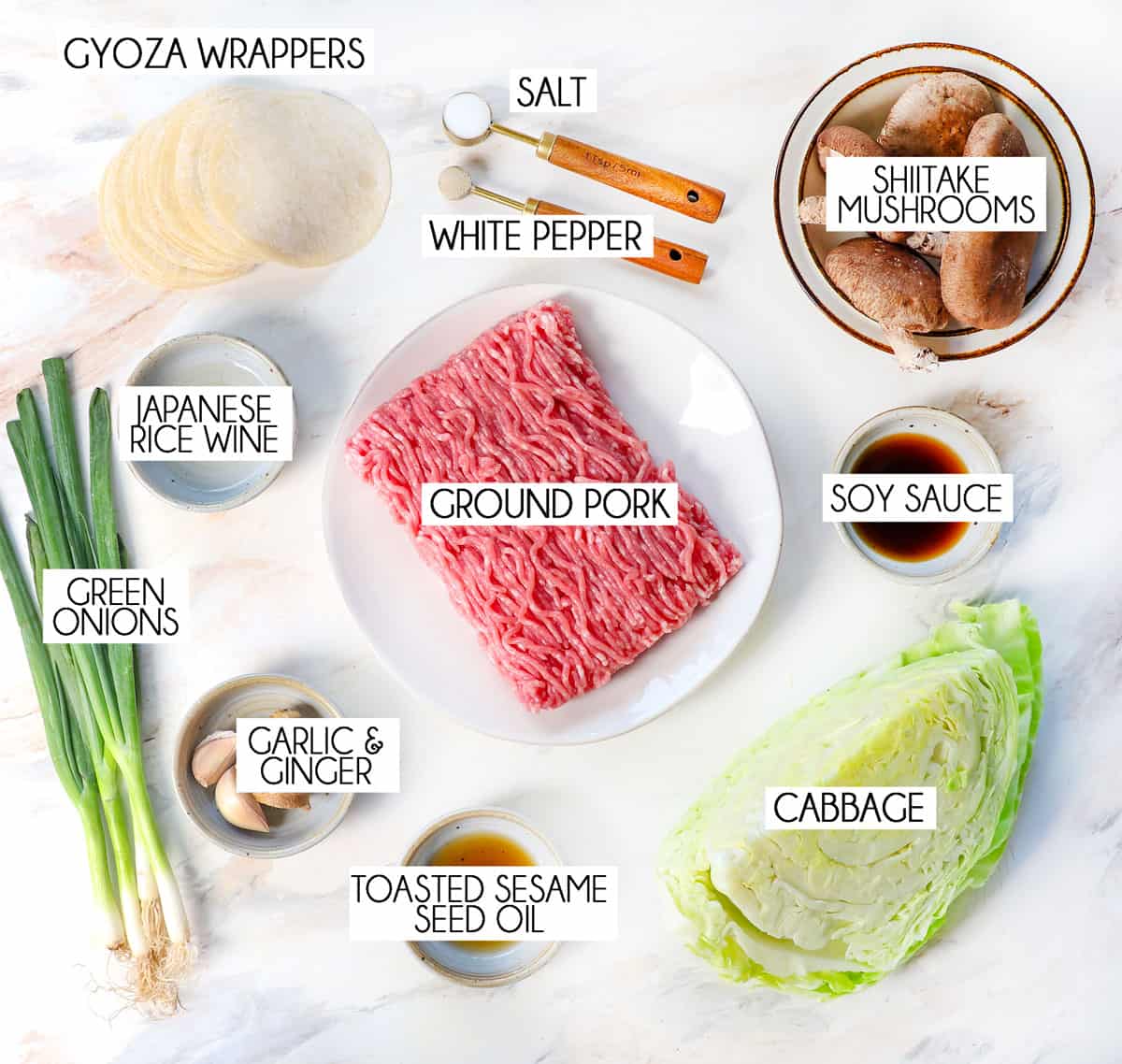 Top view of gyoza ingredients: gyoza wrappers, ground pork shiitake mushrooms, cabbage, garlic, ginger, green onions, soy sauce, rice wine, toasted sesame seed oil