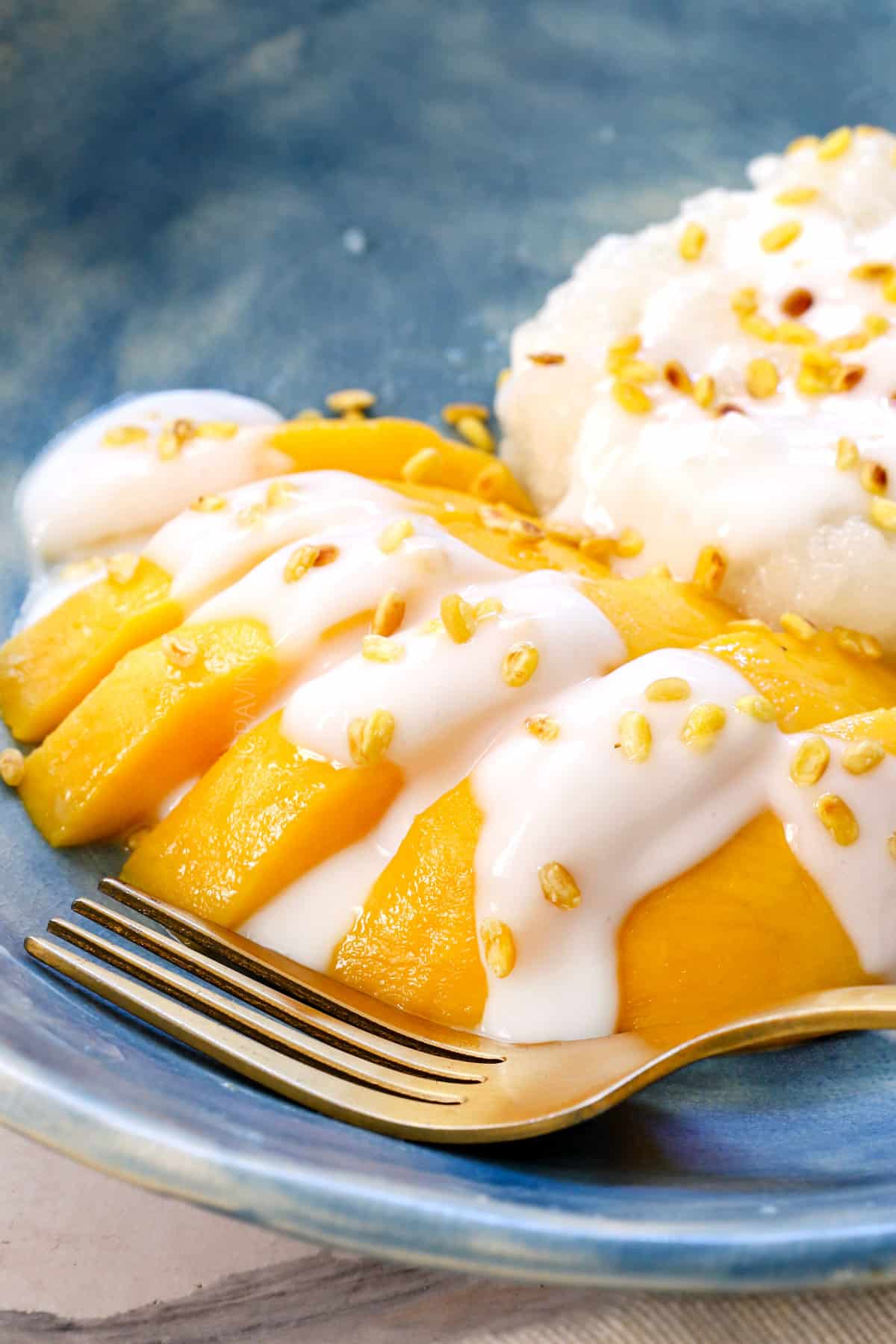 up close of mango and sticky rice showing how thick and creamy the sauce is