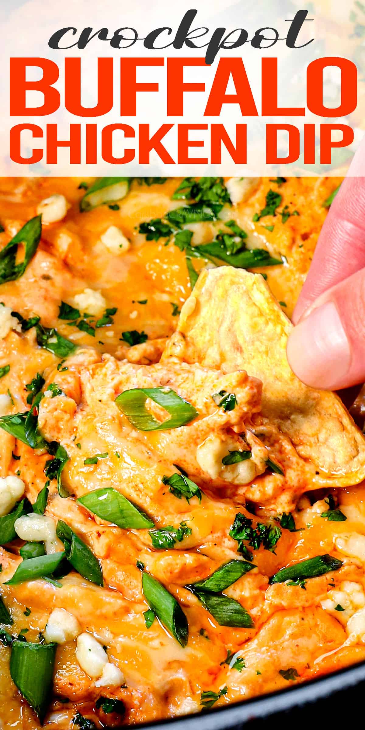 crockpot buffalo chicken dip being scooped up by a tortilla chip showing how creamy it is