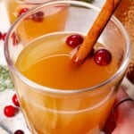 up close holding a glass of wassail