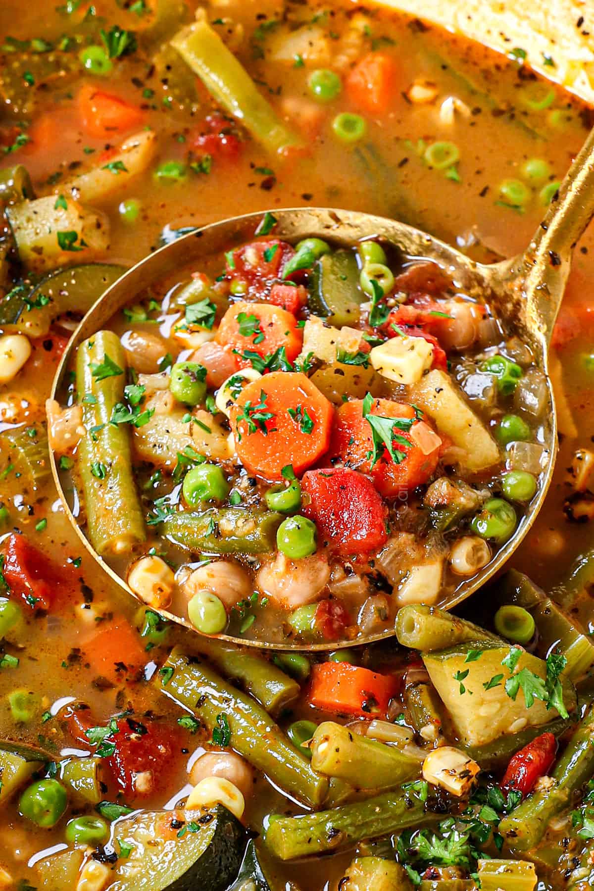 up close of a ladleful of best vegetable soup showing the vegetables used