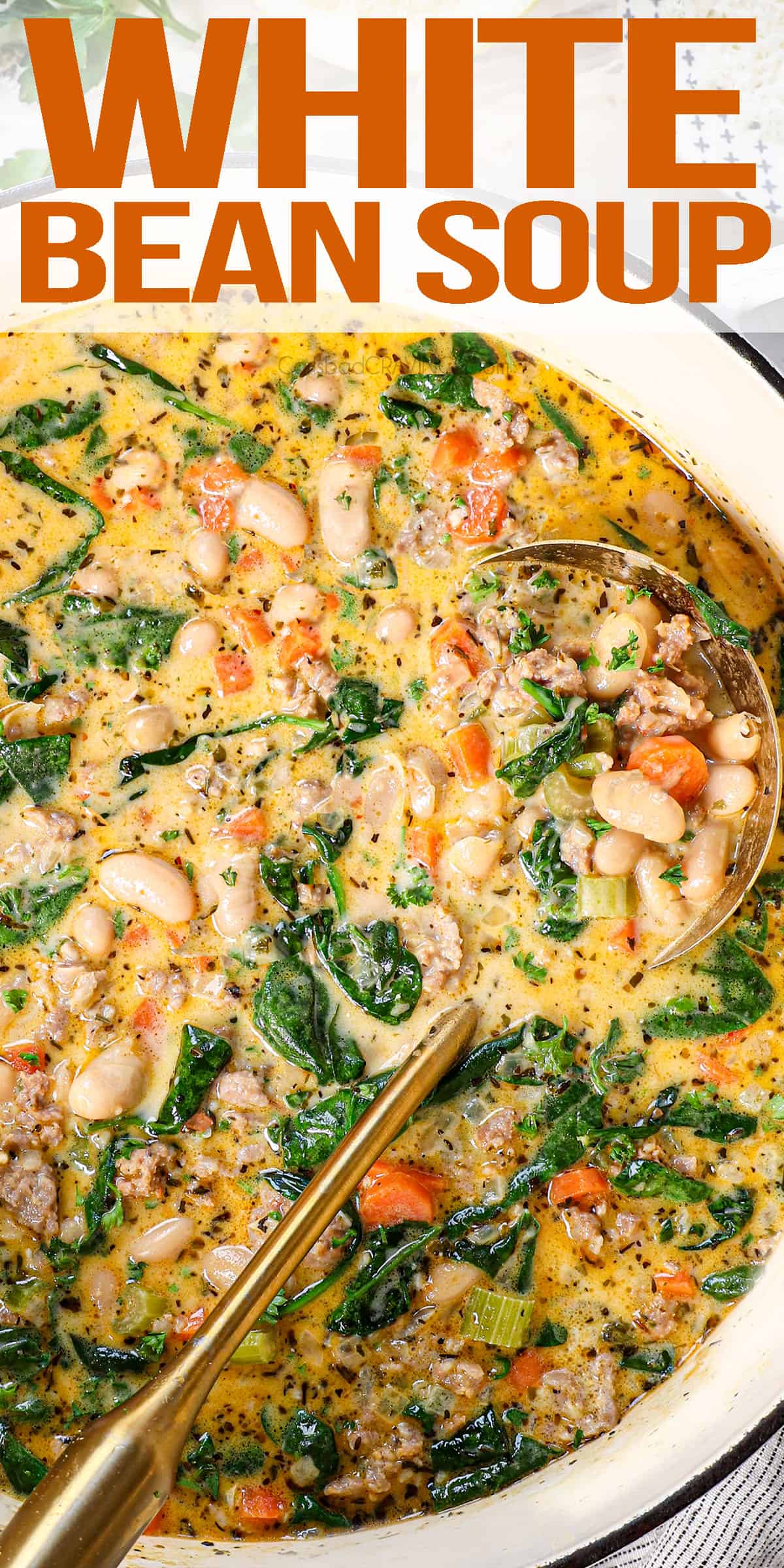 top view of white bean soup with cannellini beans, sausage, kale, carrots, and celery