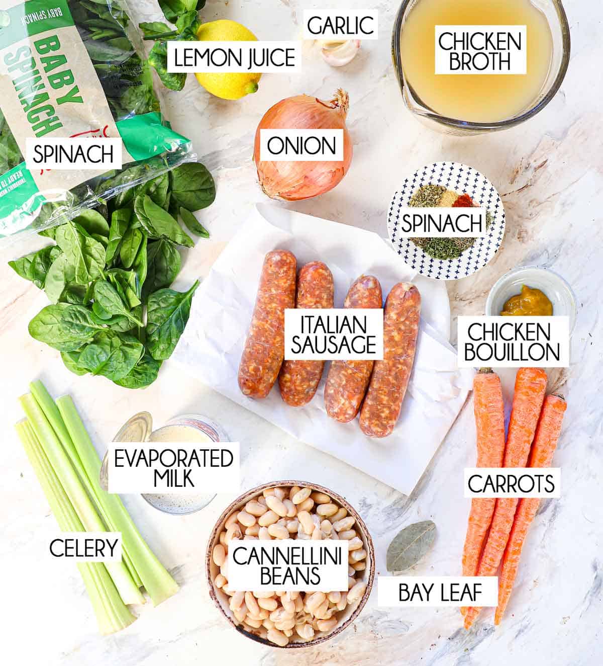 top view of white bean soup ingredients: cannellini beans, sausage, ale, carrots, celery, onions, garlic, broth, lemon juice