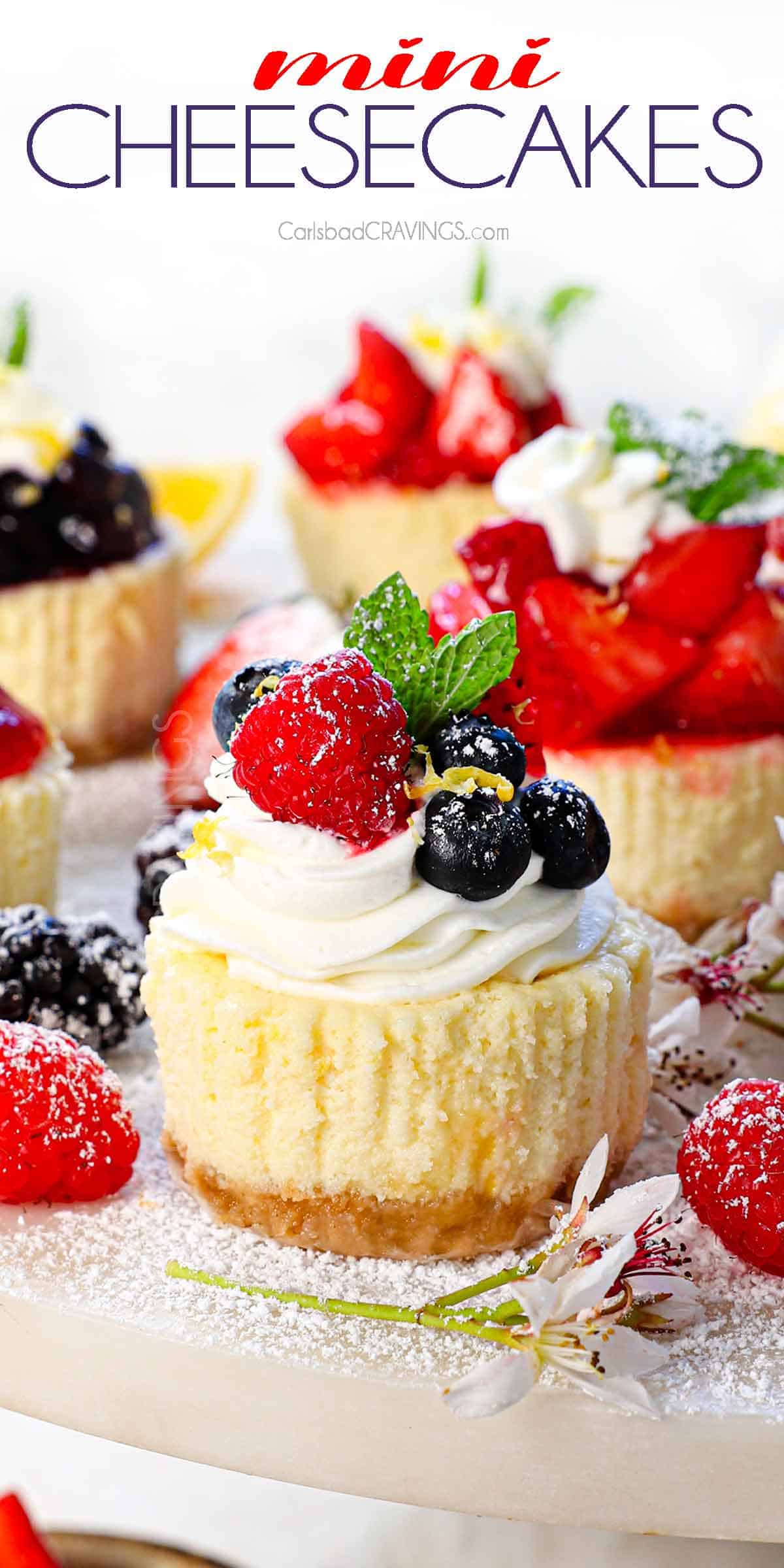 up close of mini cheesecake on a pedestal topped with whipped cream and berries